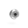 DBK Special Parts (Ducabike) Bar Ends for Triumph